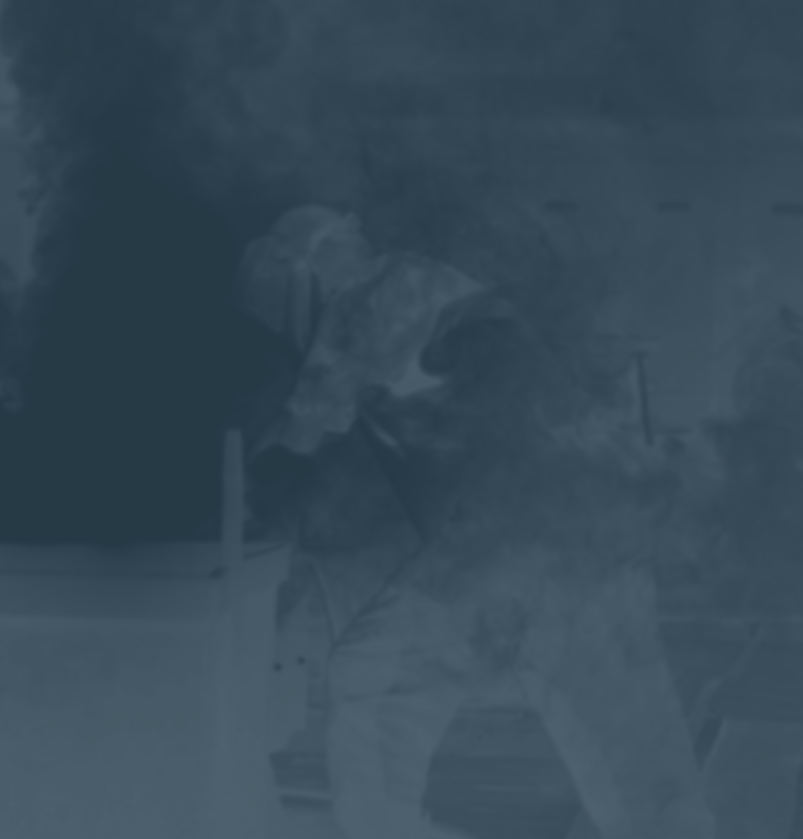 Roderus Kachel Gewerbe hover