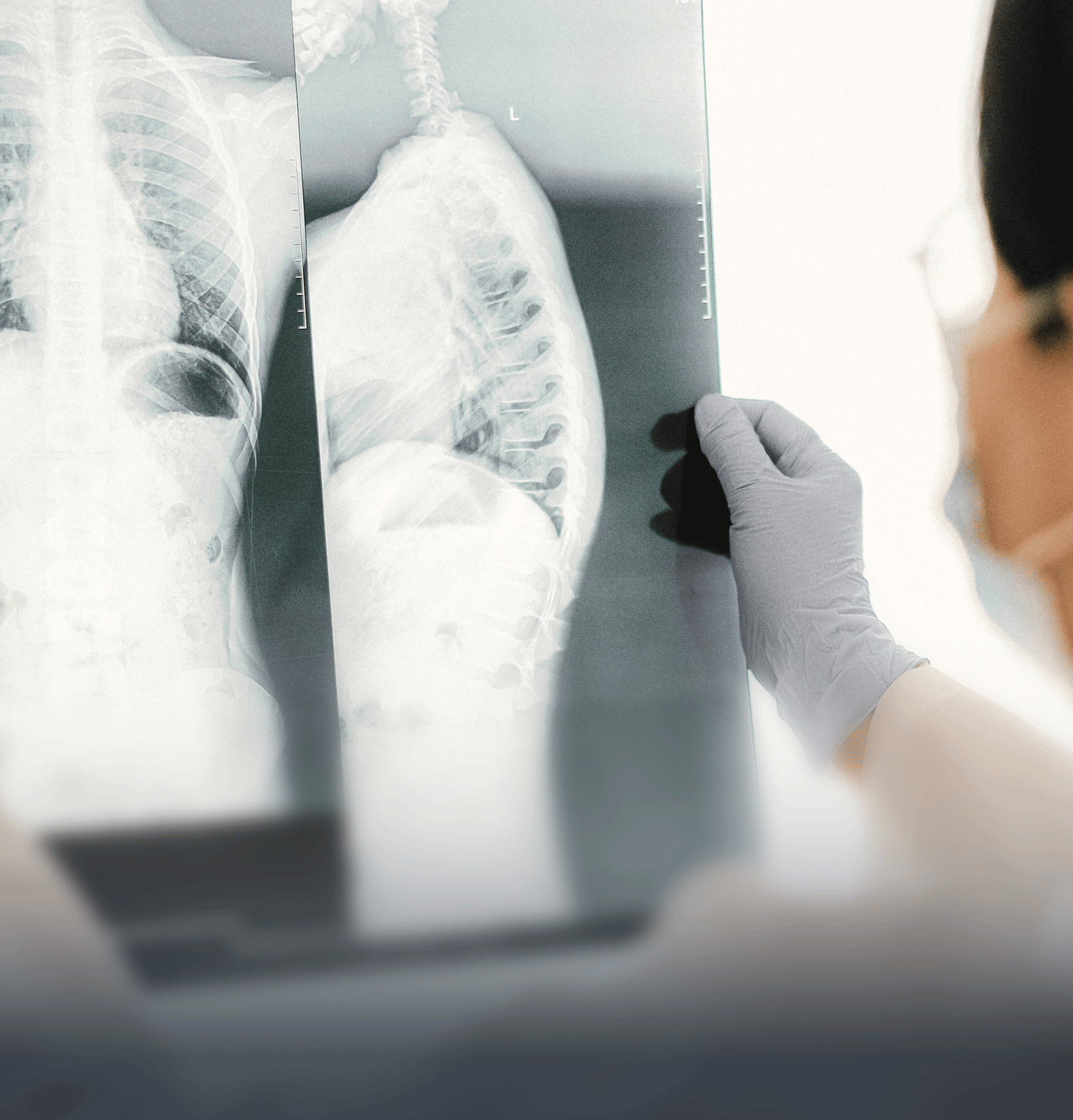 Roderus Kachel Heilwesen