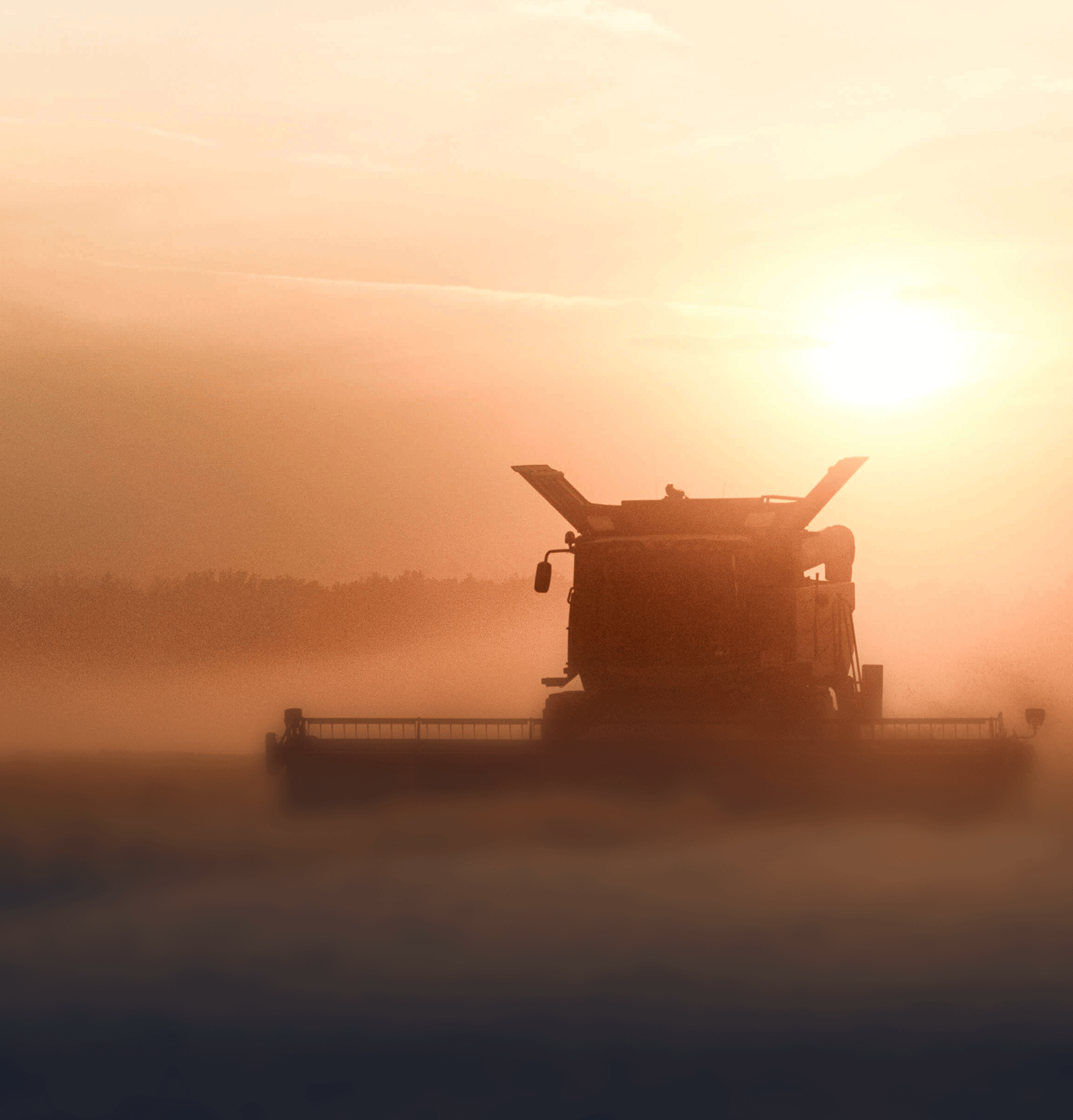 Roderus Kachel Landwirtschaft